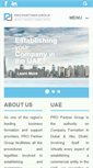Mobile Screenshot of pro-partnership.com